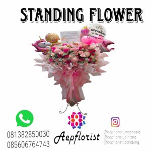 Aepflorist 01