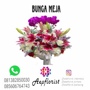 Aepflorist 03