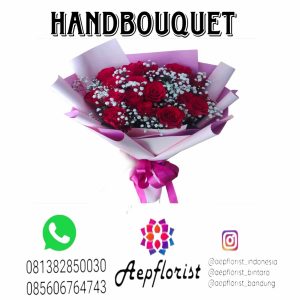 Aepflorist 04