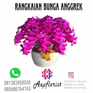 Aepflorist 06