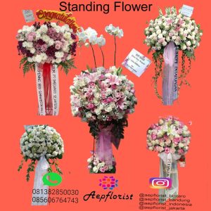 Aepflorist 07