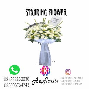 Aepflorist 08