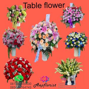 Aepflorist 10