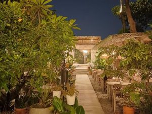 Lewi’s Organics Factory Shop 003