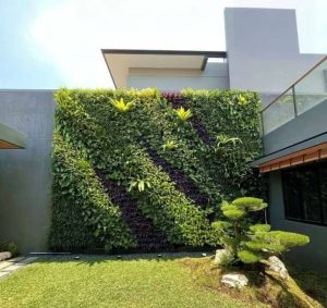 Taman Rumah yang Nyaman Cara Membuat Hunian Terasa Lebih Sejuk dan Hidup (1)